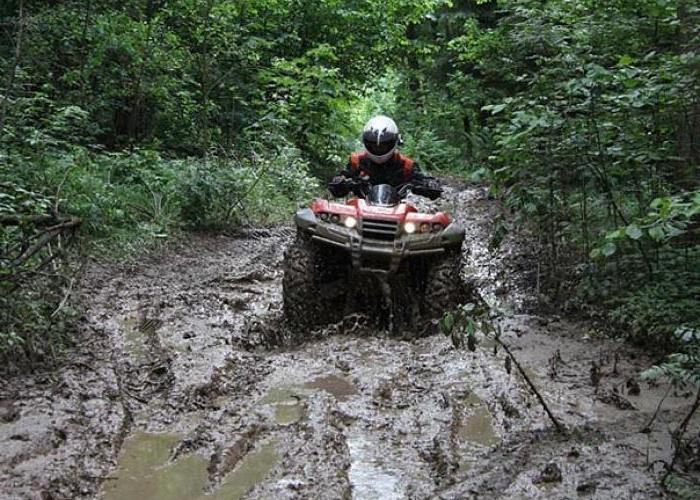 квадроцикли рм відгуки