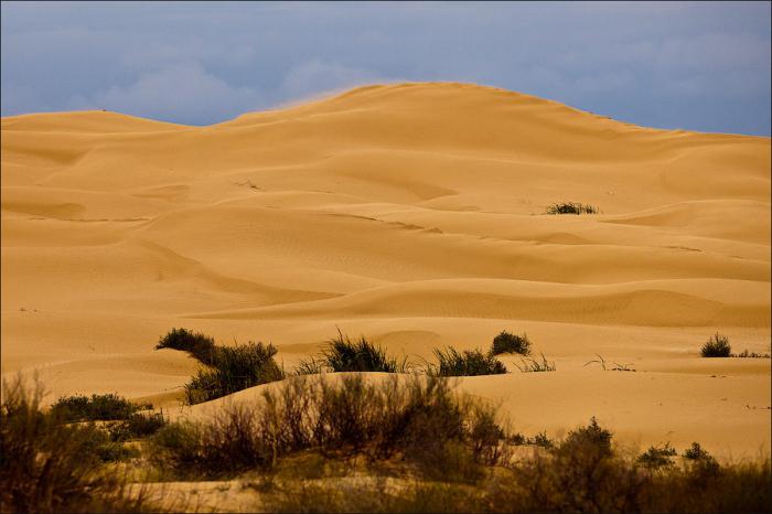 Піщаний бархан. Що таке бархан і яка його роль в житті пустелі?