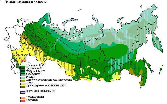 географічне положення степу в росії