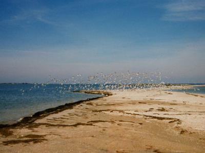 Пам'ятки Бердянська - море, повітря і вода?