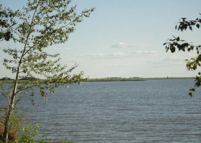 Озеро Піщане (Алтайський край): опис водойми, відпочинок, рибалка