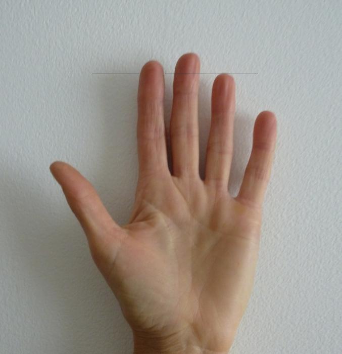 довжина пальців рук, значення, психологія