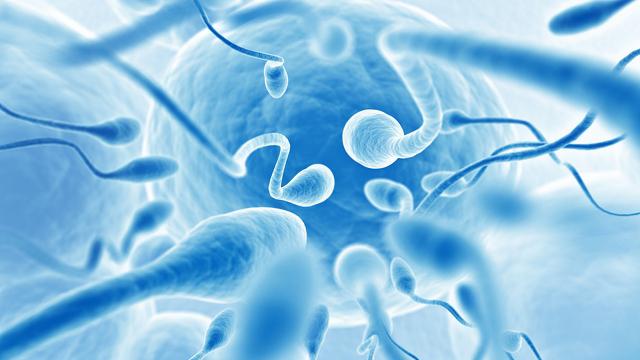 Яка повинні бути сперма і які фактори, негативно на неї впливають
